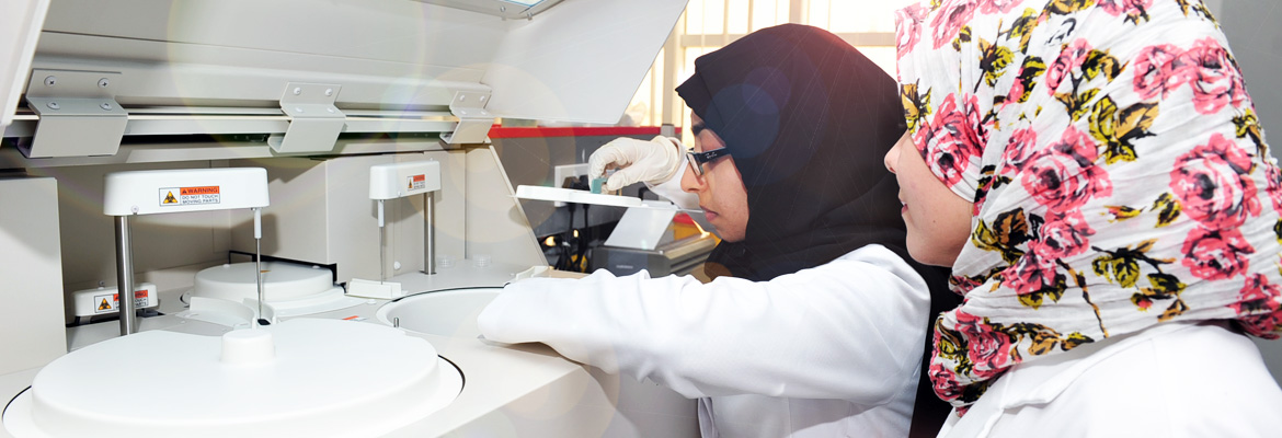 research_office_banner4