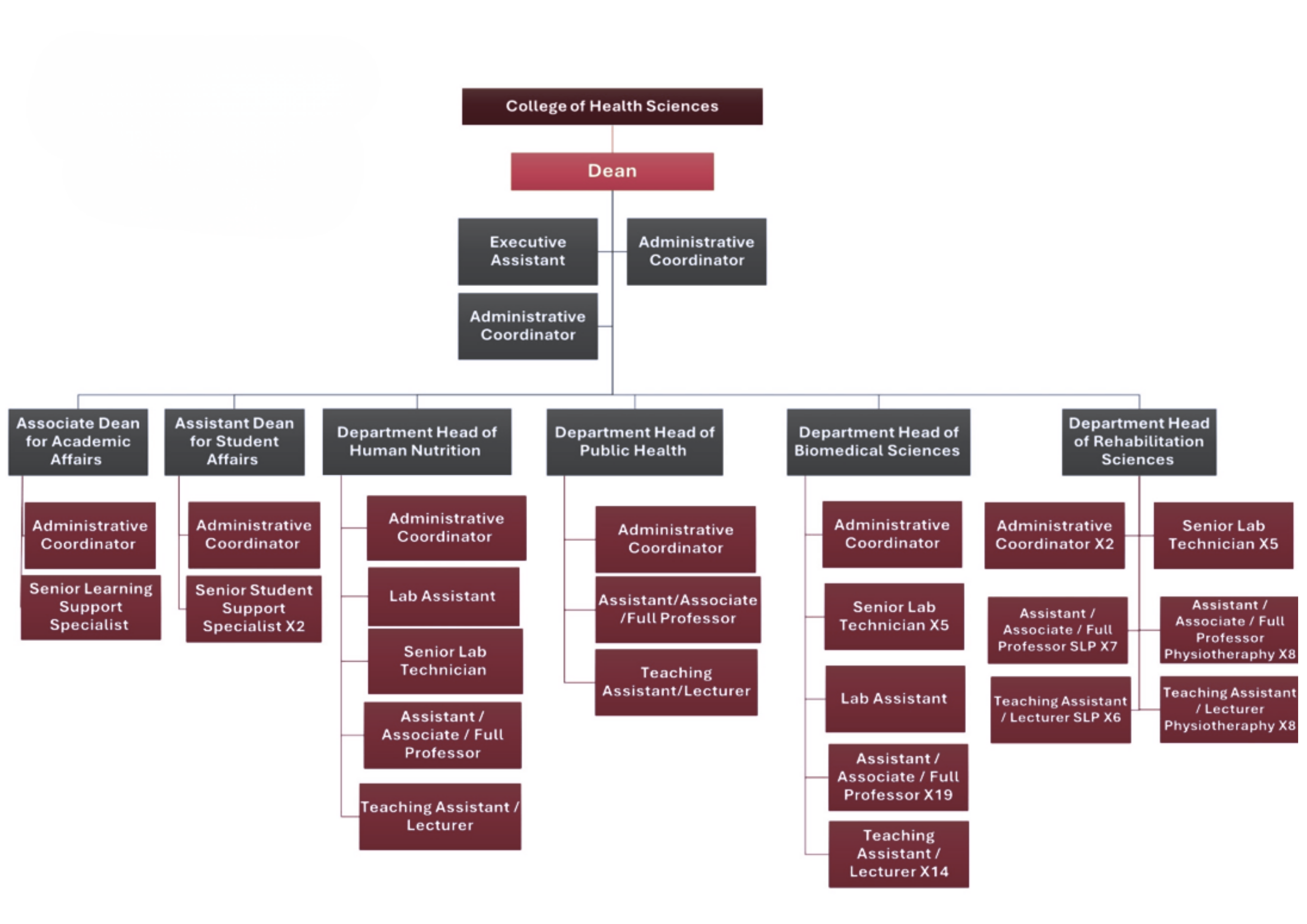 CHS_OrgChart.png