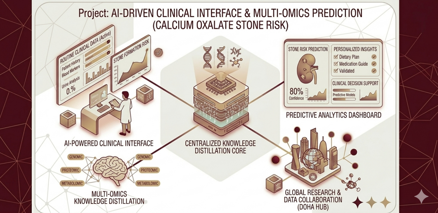 AI Clinical Interface for Kidney Stone Risk
