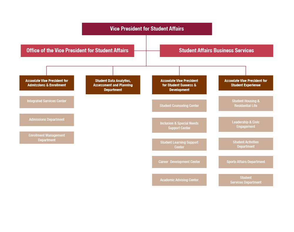 Student Affairs Organizational Chart